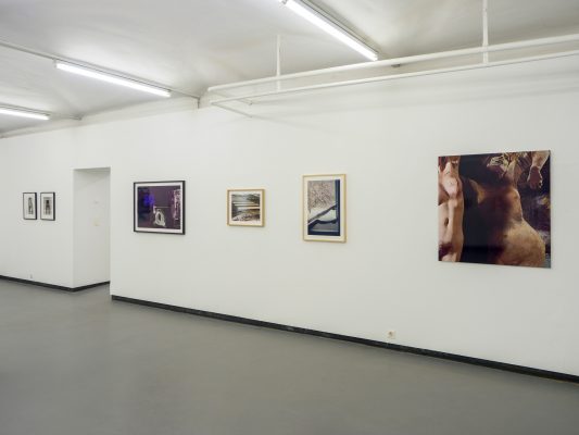 WERKSCHAU XXVI Heidi Harsieber Ausstellungsansichten Fotogalerie Wien